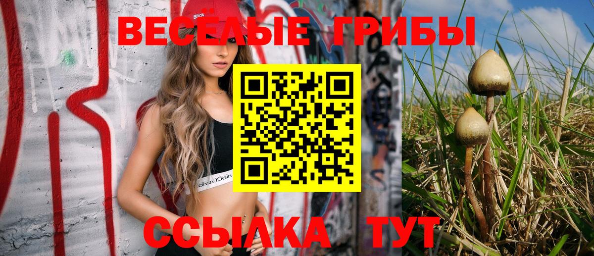 Красноуфимск  Галлюциногенные грибы MAGIC MUSHROOMS  Псилоцибиновые грибы Psilocybine cubensis  Вход с VPN 
