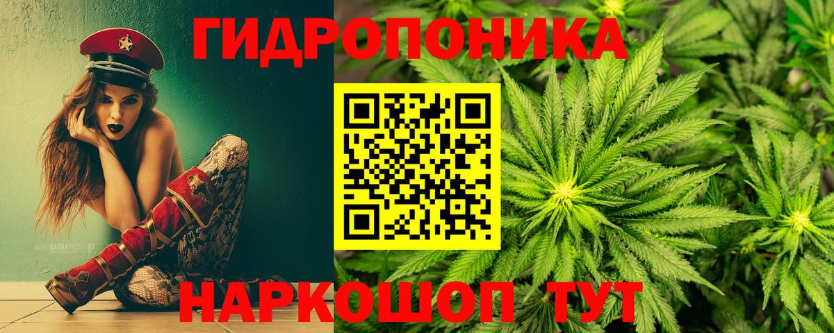 Каннабис OG Kush  Вход с VPN  Канабис Amnesia  Красноуфимск 